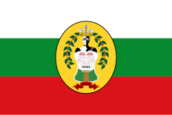 Bandera de Pandi