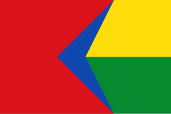 Bandera de Yaguará