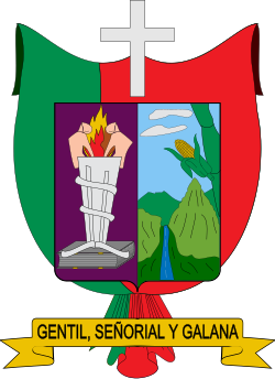 Escudo de La Cruz