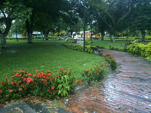 Puerto Rondón, Arauca