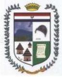 Escudo de Chinácota