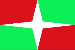Bandera de Cumaral