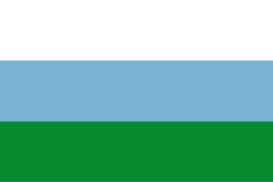 Bandera de Nechí