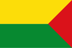 Bandera de Chinchiná