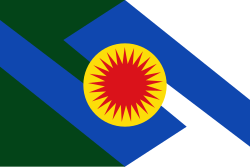 Bandera de Inírida