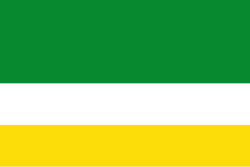 Bandera de Guayatá