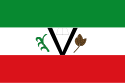Bandera de Piedecuesta