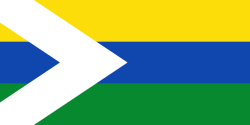 Bandera de Cumaribo