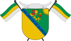 Escudo de San Carlos de Guaroa