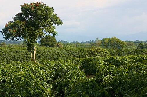 Quimbaya, Quindío