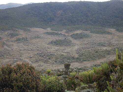Gualmatán, Nariño