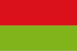 Bandera de Paicol