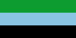 Bandera de Bajo Baudó