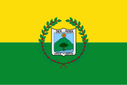 Bandera de Vergara