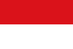 Bandera de Rionegro