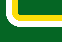 Bandera de Lejanías