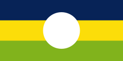 Bandera de Caldono