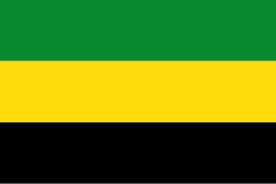 Bandera de Puerto Libertador