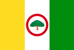Bandera de Oiba