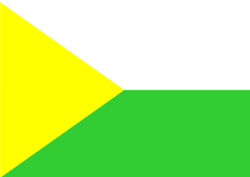 Bandera de Norosí