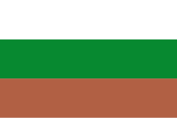 Bandera de Sáchica