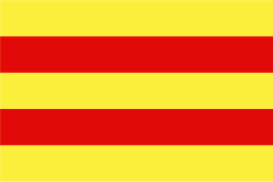 Bandera de Baraya