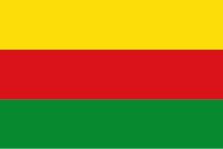 Bandera de Villa del Rosario