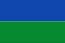 Bandera de Soledad