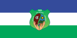 Bandera de San Antonio