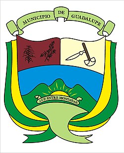 Escudo de Guadalupe