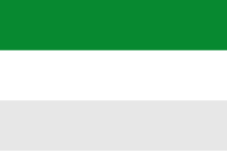 Bandera de La Macarena