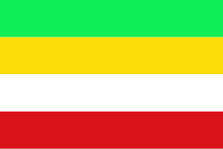 Bandera de Puerto Gaitán