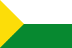 Bandera de Puerto Salgar