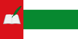 Bandera de San Joaquín
