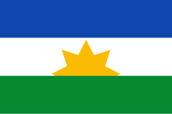 Bandera de Zapayán