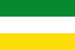 Bandera de San Martín