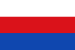 Bandera de El Paujil