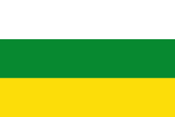 Bandera de Guasca