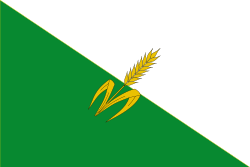 Bandera de Carcasí