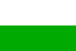 Bandera de Fusagasugá