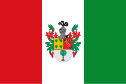 Bandera de Ciudad Bolívar
