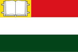 Bandera de Monterrey