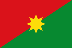 Bandera de Casanare