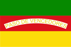 Bandera de Concepción