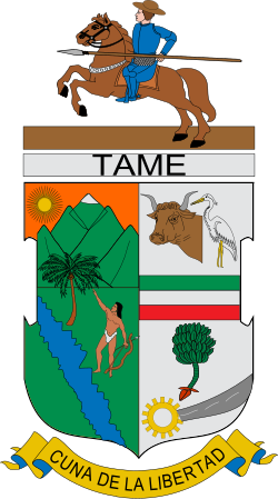 Escudo de Tame