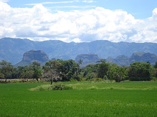 Ortega, Tolima