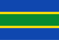 Bandera de Guadalupe
