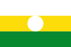 Bandera de Vegachí