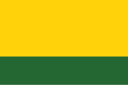Bandera de Chitaraque