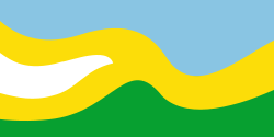 Bandera de San José del Guaviare